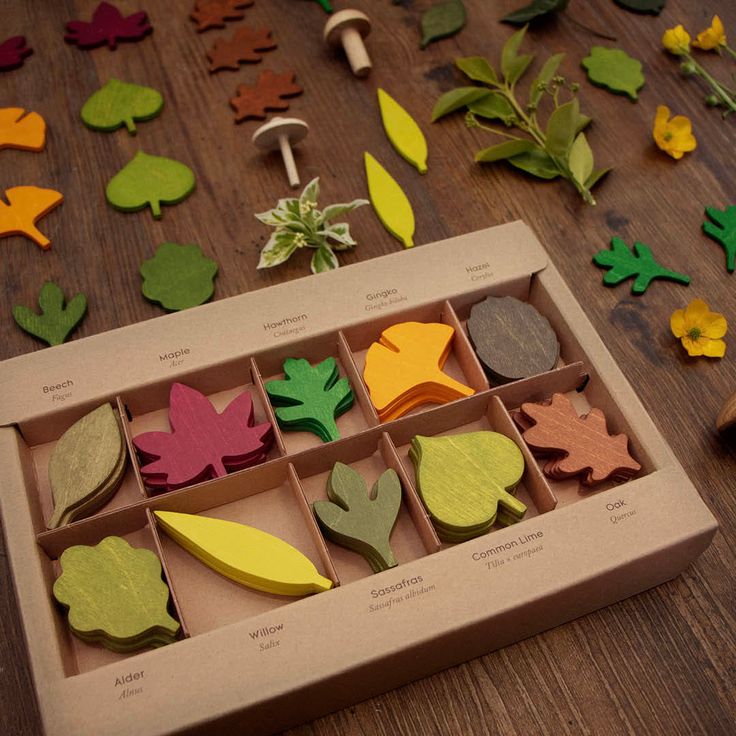 40pcs of Wooden Woodland Leaves