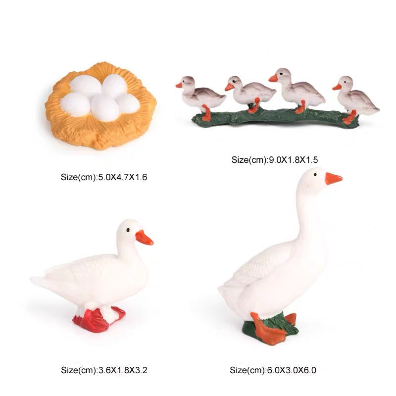 Life Cycle of a Goose - Set of Figurines