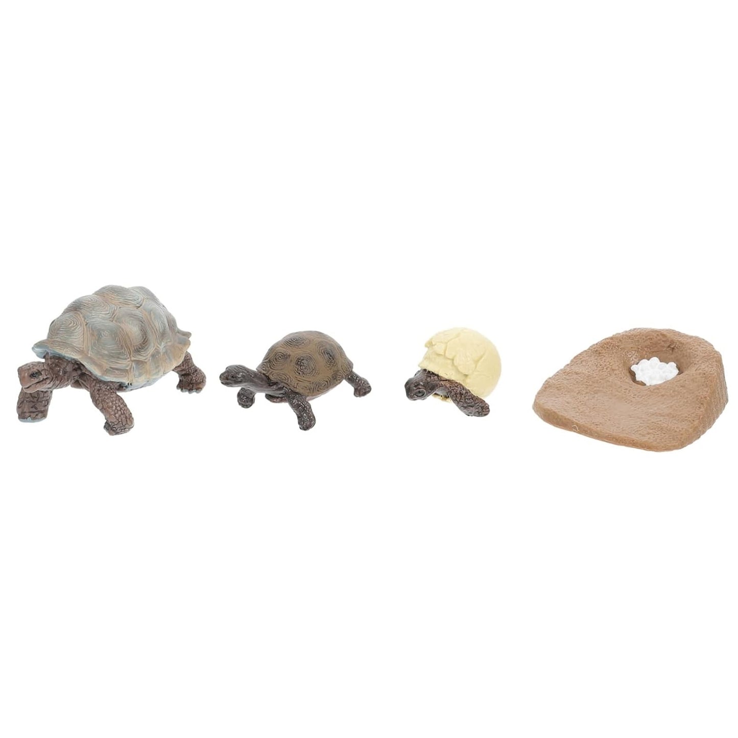 Life Cycle of a Tortoise - Set of Figurines