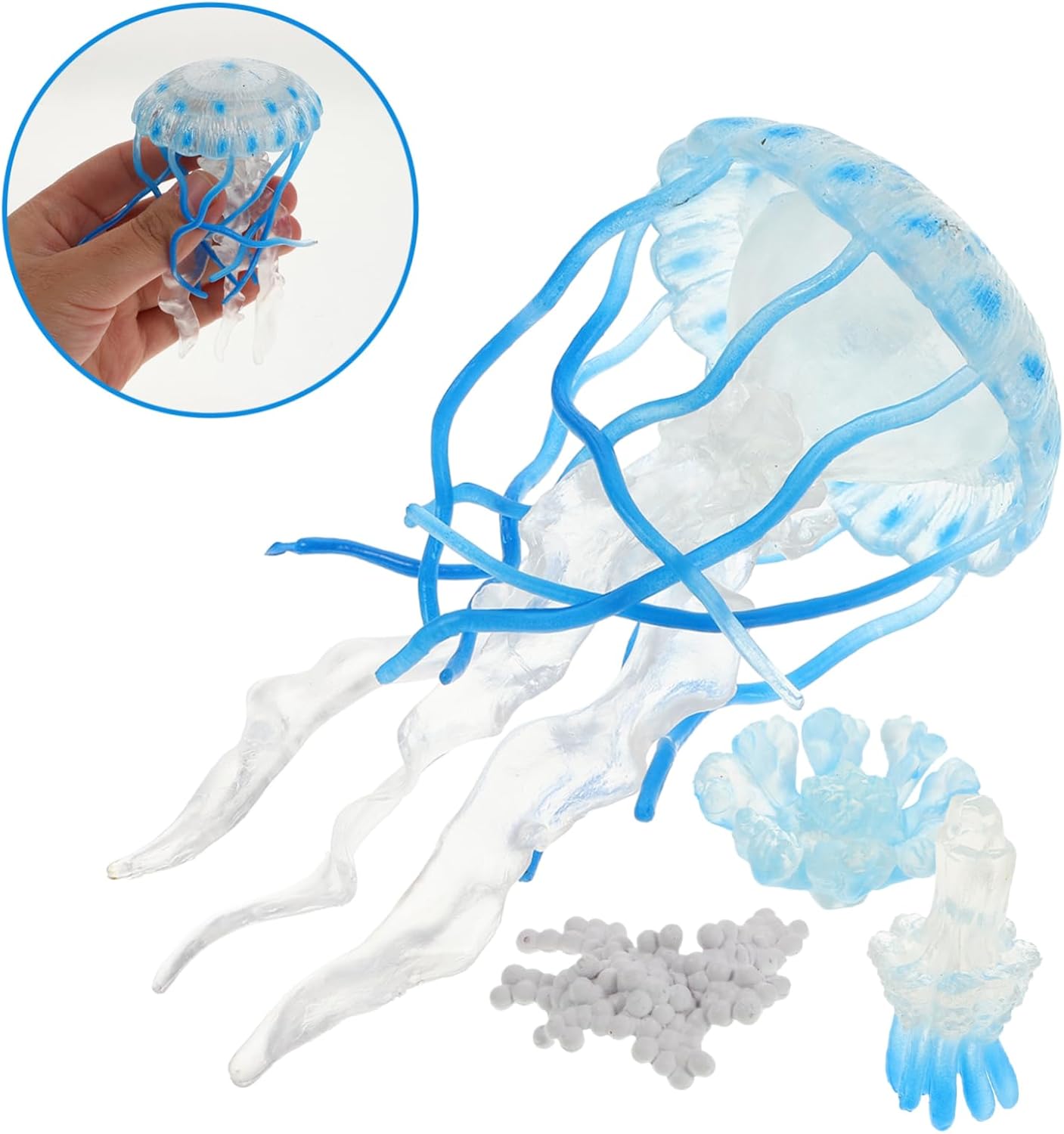 Life Cycle of a Jellyfish - Set of Figurines
