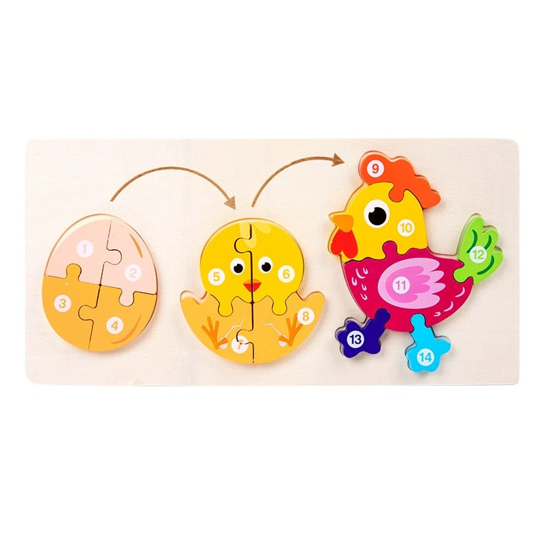 Life Cycle Numbered Wooden Puzzles - Assorted Designs