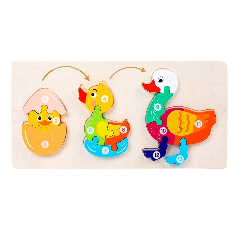 Life Cycle Numbered Wooden Puzzles - Assorted Designs