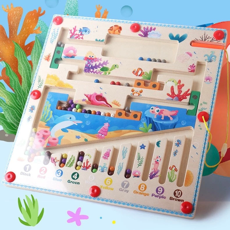 Stick, Shift, Solve: Magnetic Challenge Game - Assorted Designs