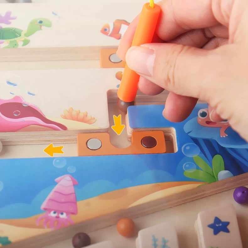 Stick, Shift, Solve: Magnetic Challenge Game - Assorted Designs