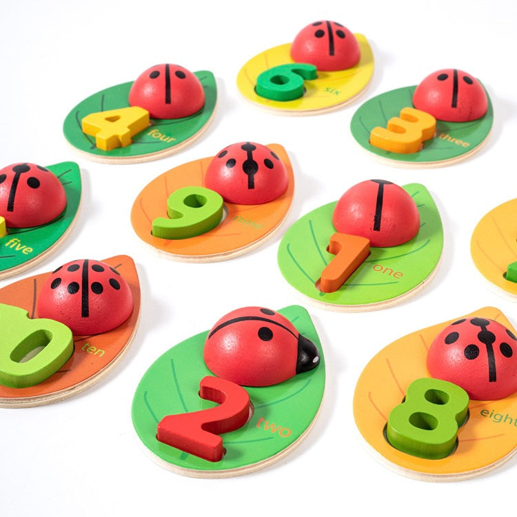 Learn to Count with Spotty Ladybug