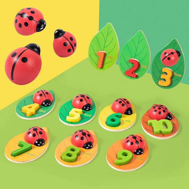 Learn to Count with Spotty Ladybug