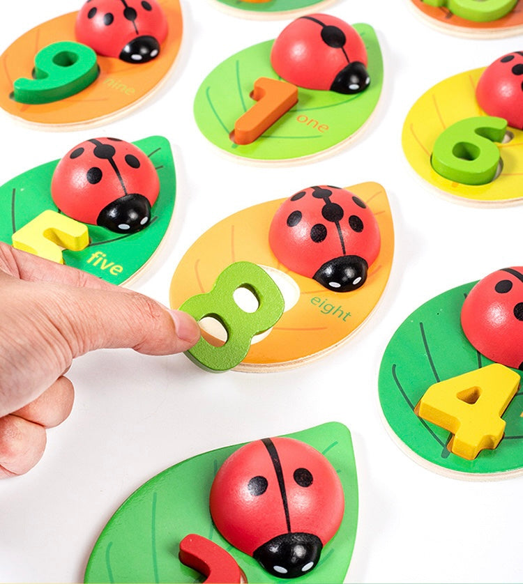 Learn to Count with Spotty Ladybug