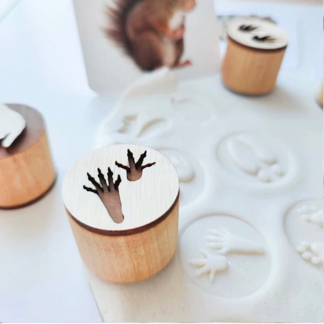 Animal Footprint Stamps - Set of 9