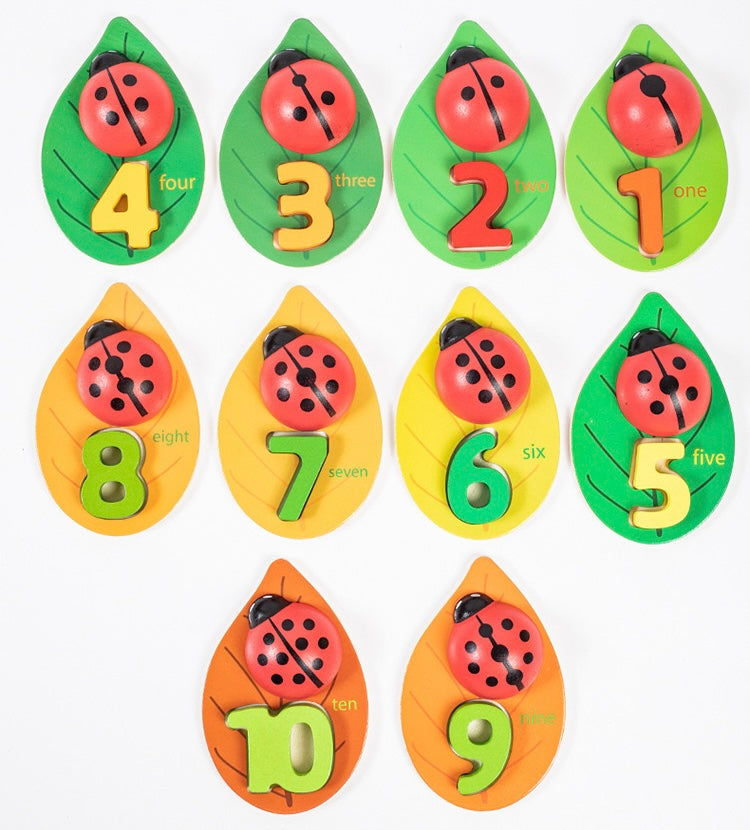 Learn to Count with Spotty Ladybug