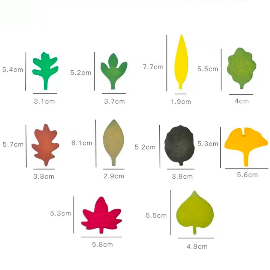 40pcs of Wooden Woodland Leaves