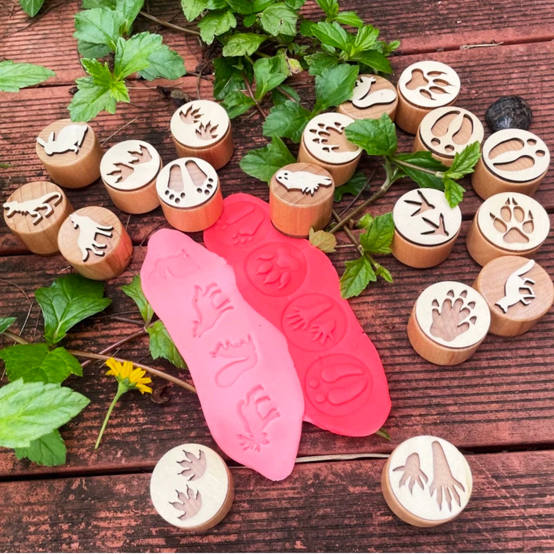Animal Footprint Stamps - Set of 9