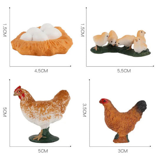 Life Cycle of a Hen - Set of Figurines