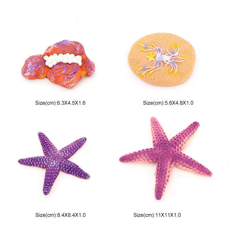 Life Cycle of a Starfish - Set of Figurines