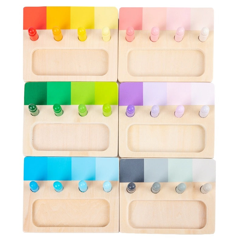 Montessori Advanced Colour Resemblance Sorting Task