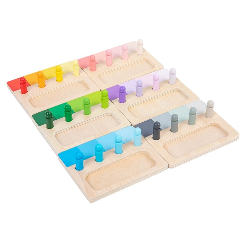 Montessori Advanced Colour Resemblance Sorting Task