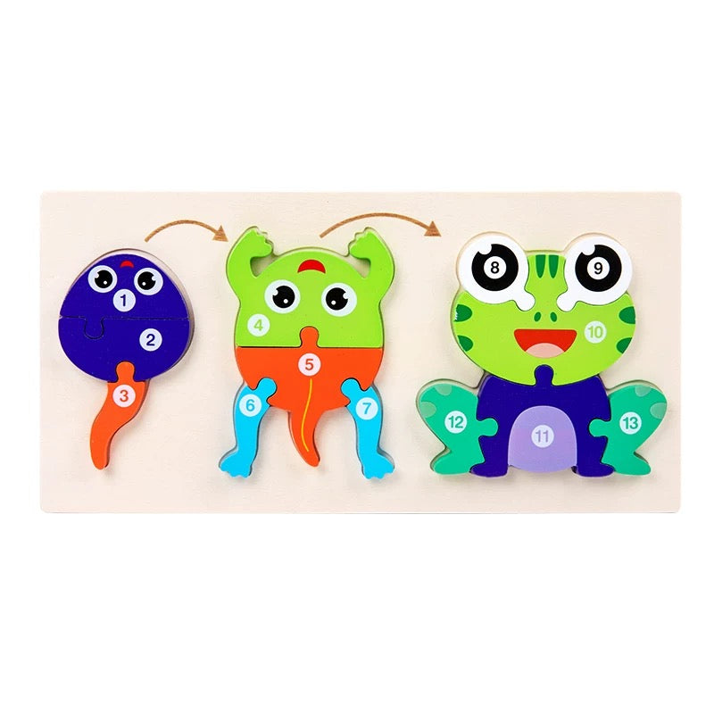 Life Cycle Numbered Wooden Puzzles - Assorted Designs