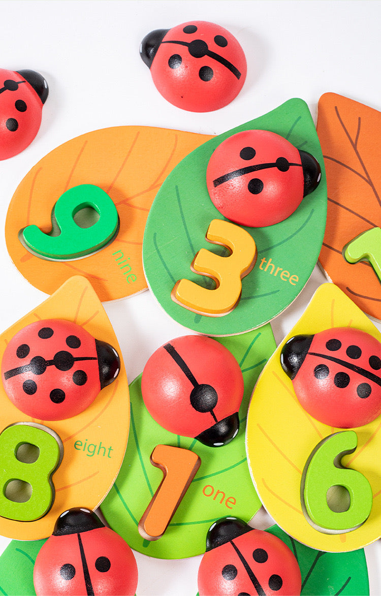 Learn to Count with Spotty Ladybug