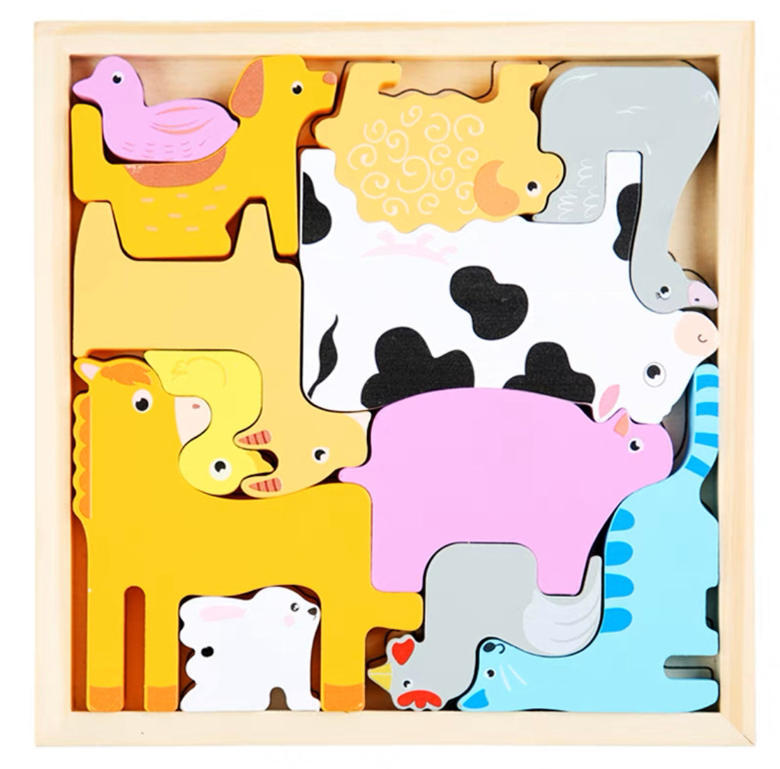Wooden Puzzle Set - Assorted Designs