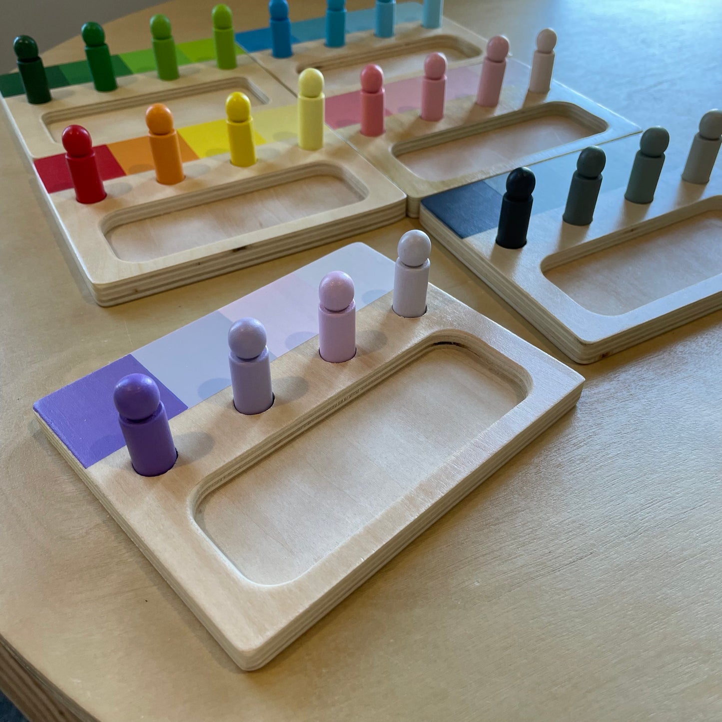 Montessori Advanced Colour Resemblance Sorting Task