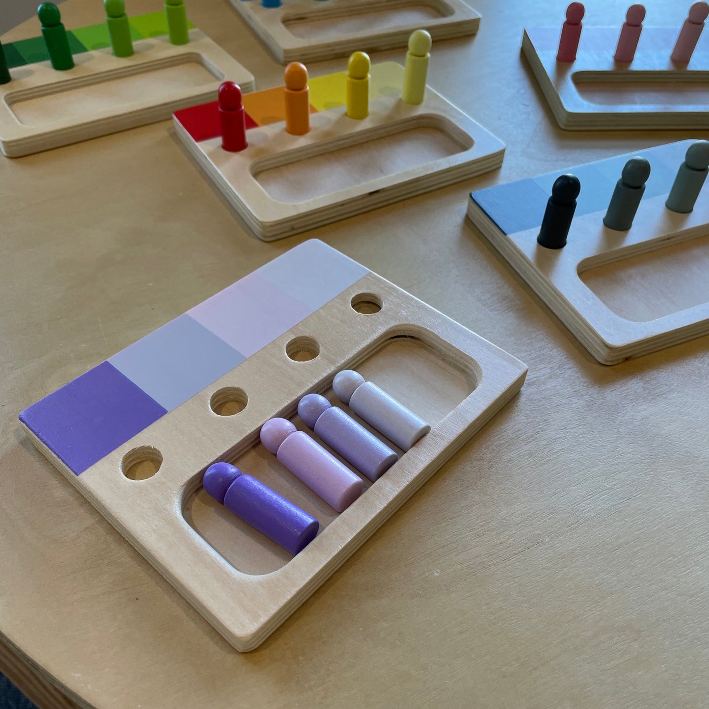 Montessori Advanced Colour Resemblance Sorting Task