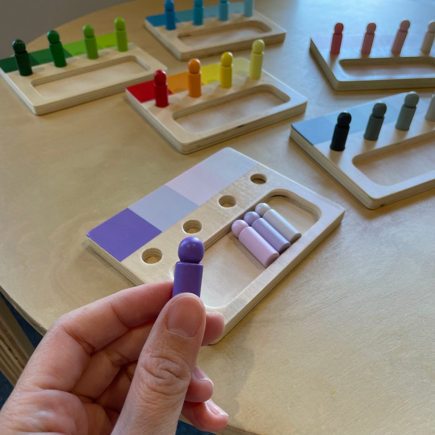 Montessori Advanced Colour Resemblance Sorting Task