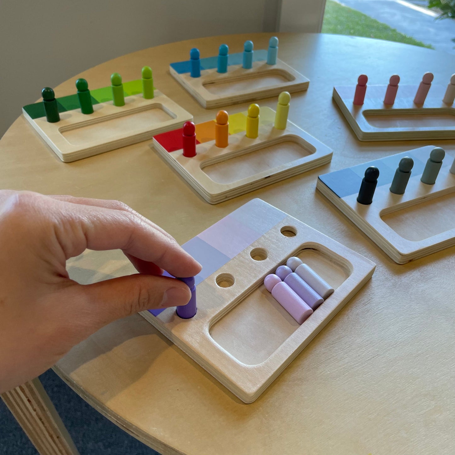 Montessori Advanced Colour Resemblance Sorting Task