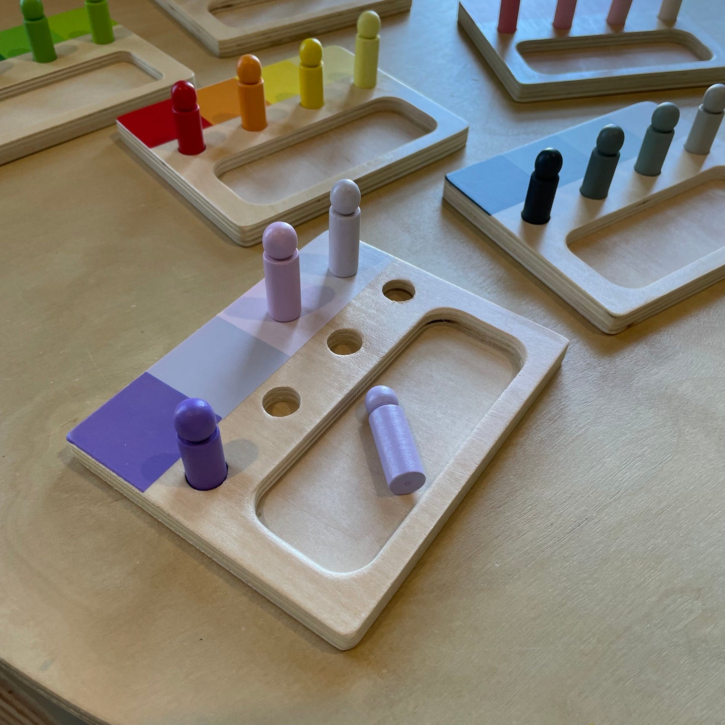 Montessori Advanced Colour Resemblance Sorting Task