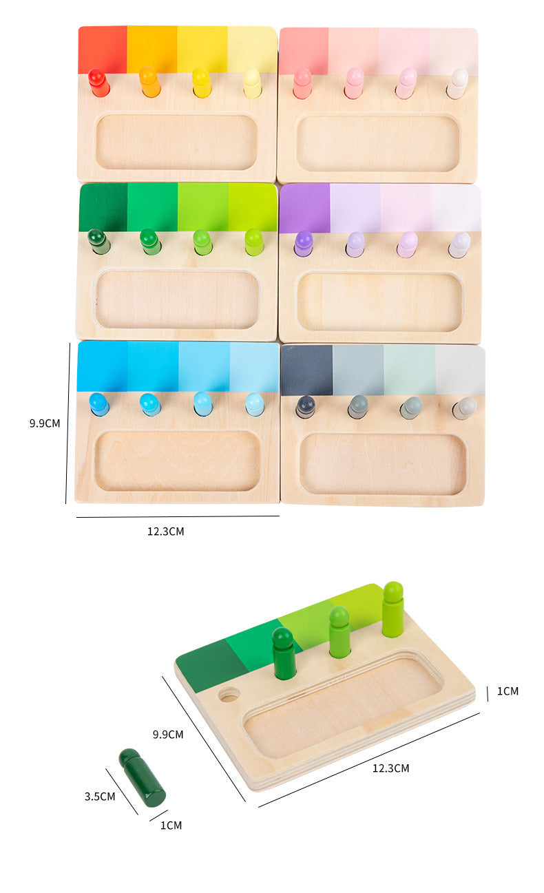 Montessori Advanced Colour Resemblance Sorting Task