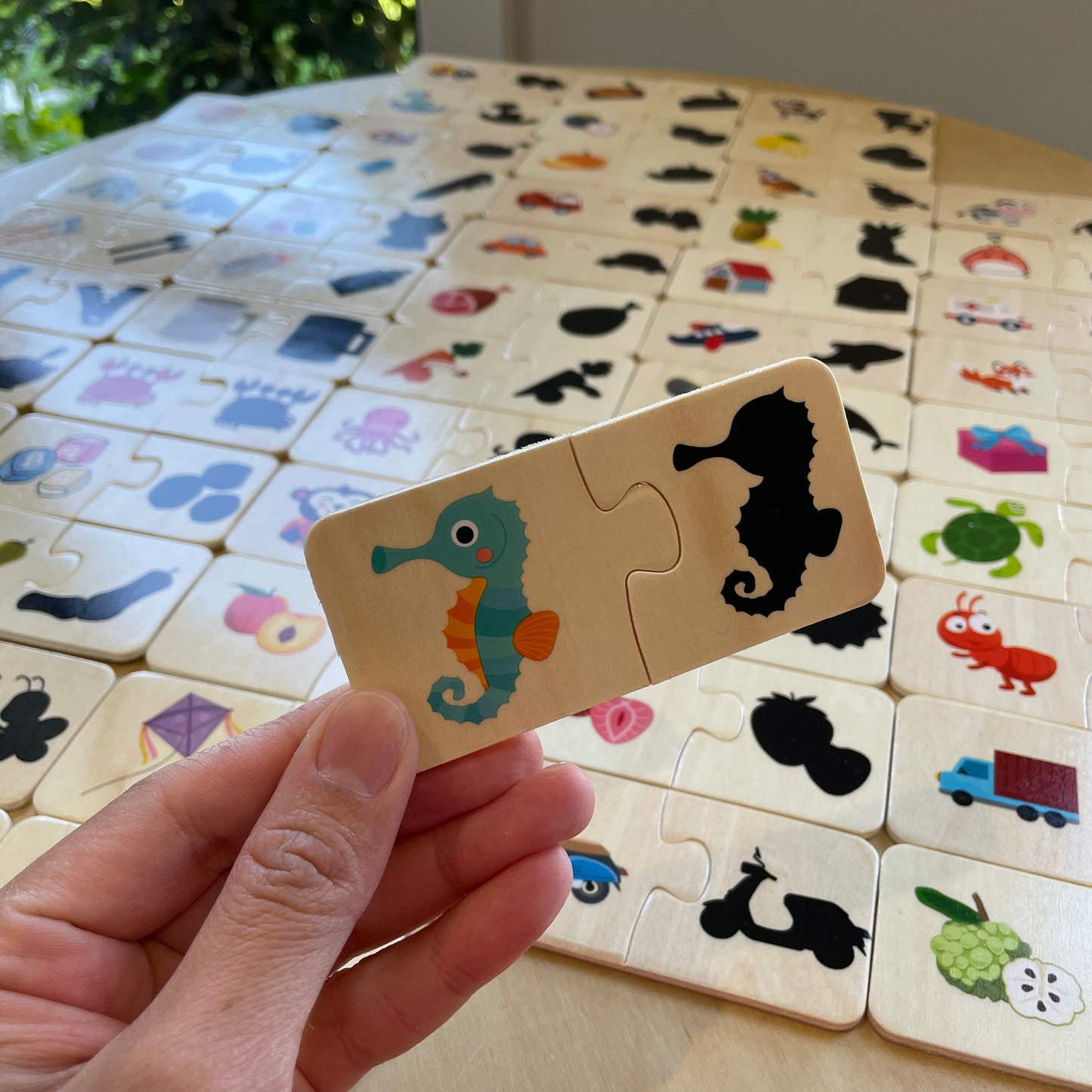 Shadow Matching Game