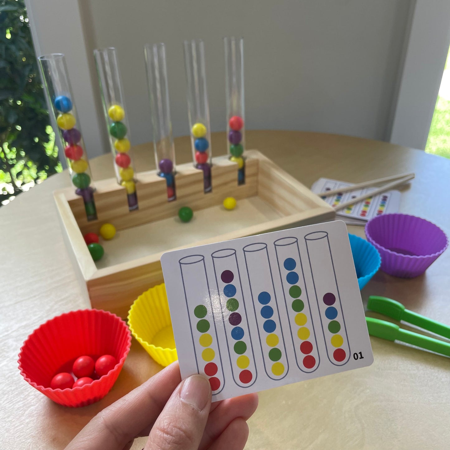 Little Scientist's Colours & Patterns Discovery Lab