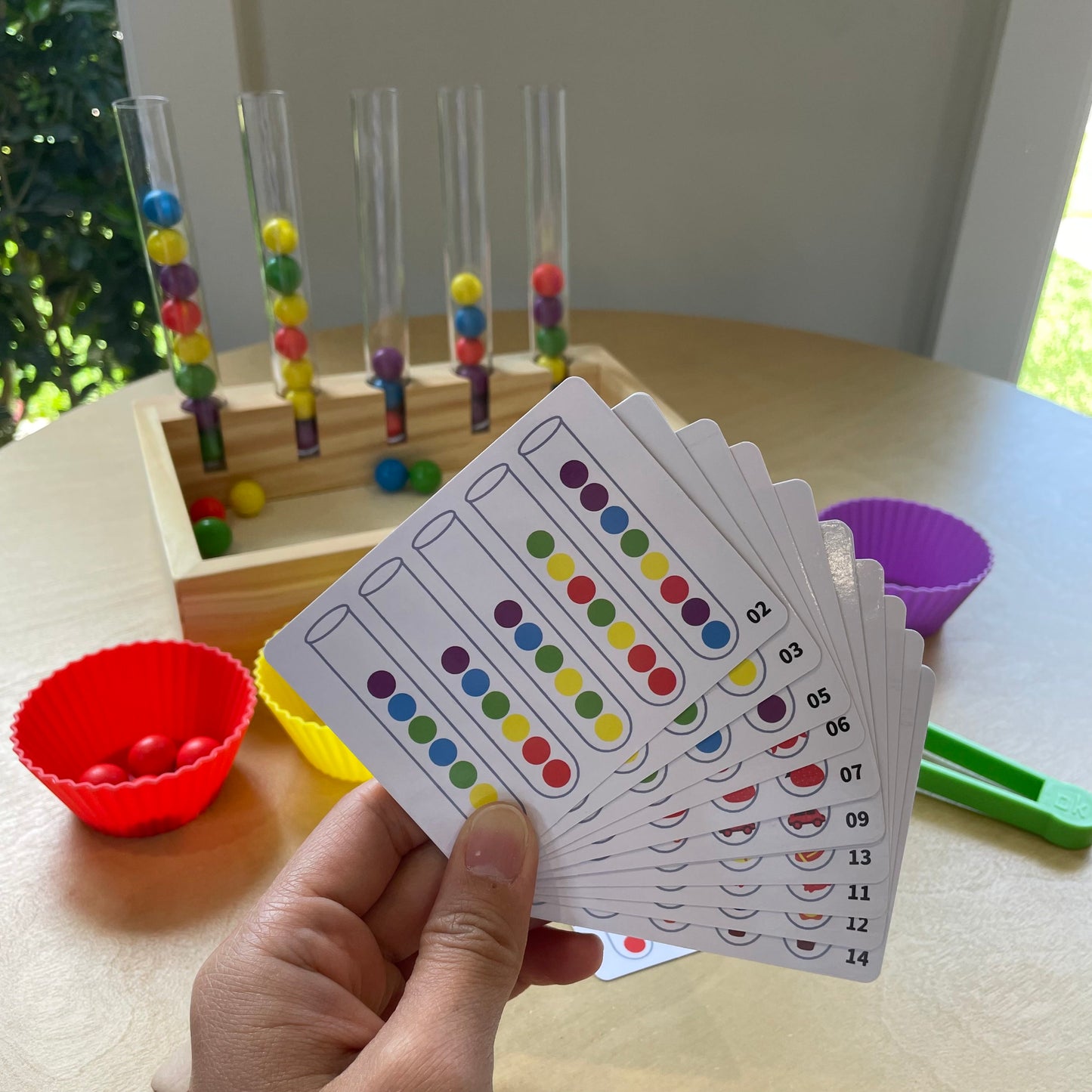 Little Scientist's Colours & Patterns Discovery Lab