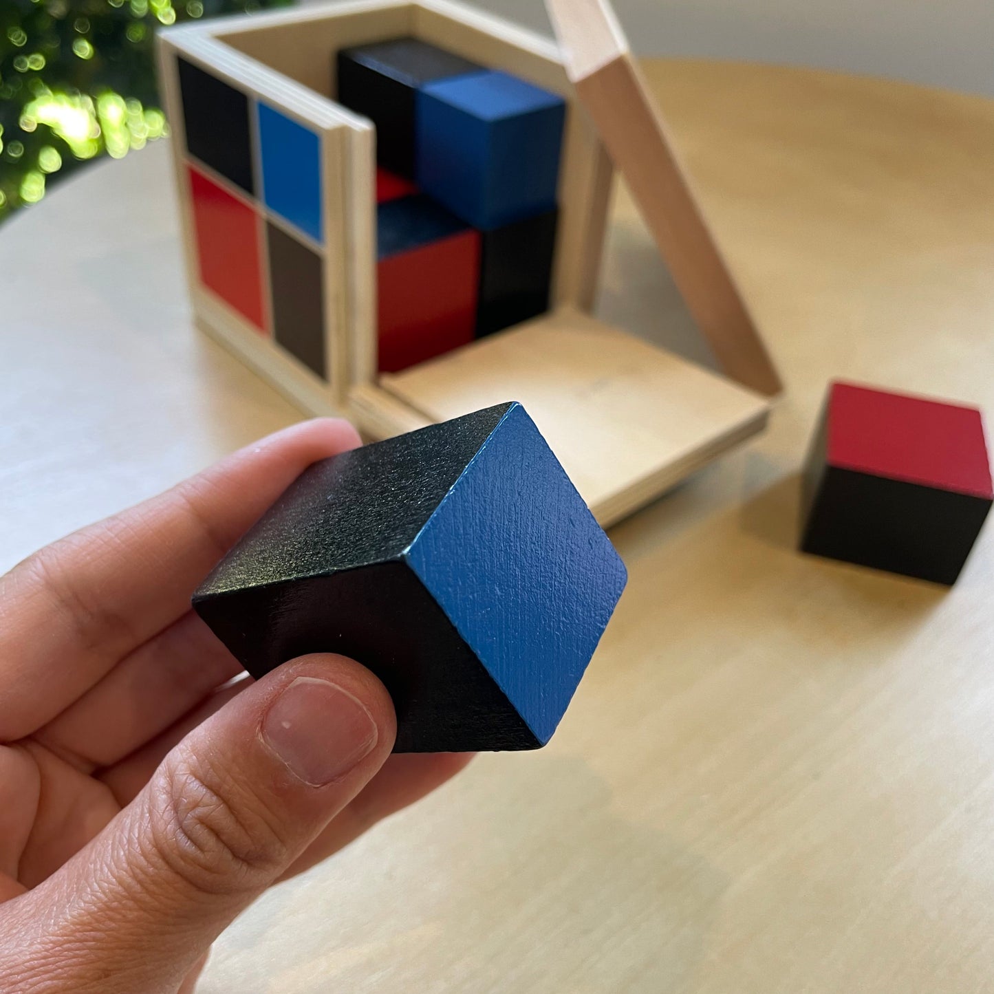 Montessori Binomial Cube
