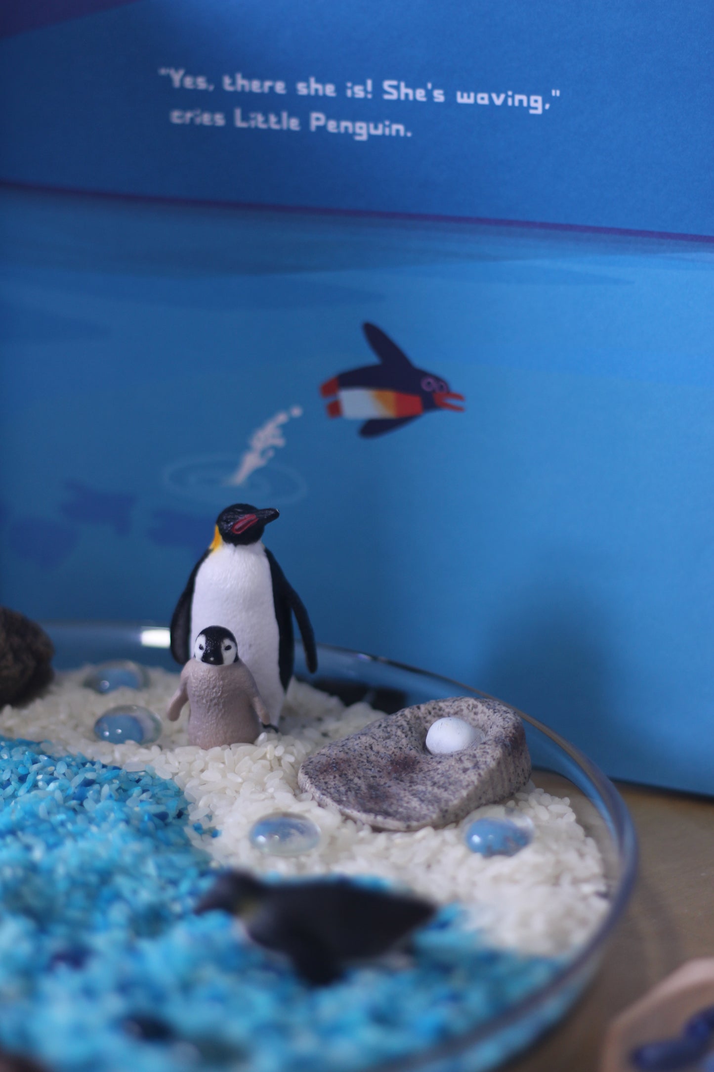 Life Cycle of a Penguin - Set of Figurines