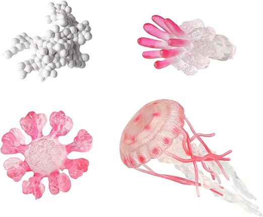 Life Cycle of a Jellyfish - Set of Figurines