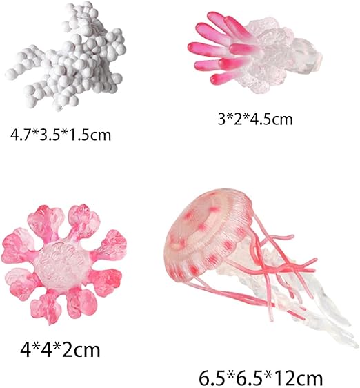 Life Cycle of a Jellyfish - Set of Figurines