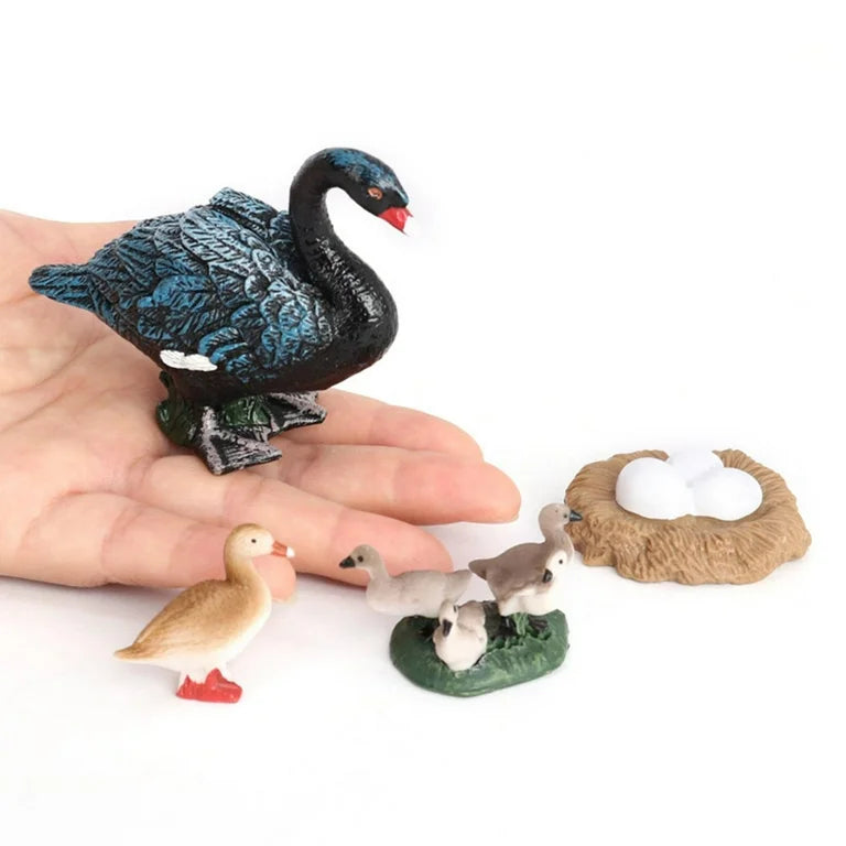 Life Cycle of a Black Swan - Set of Figurines