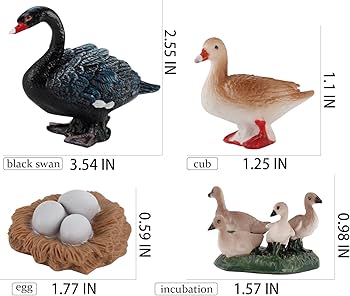 Life Cycle of a Black Swan - Set of Figurines
