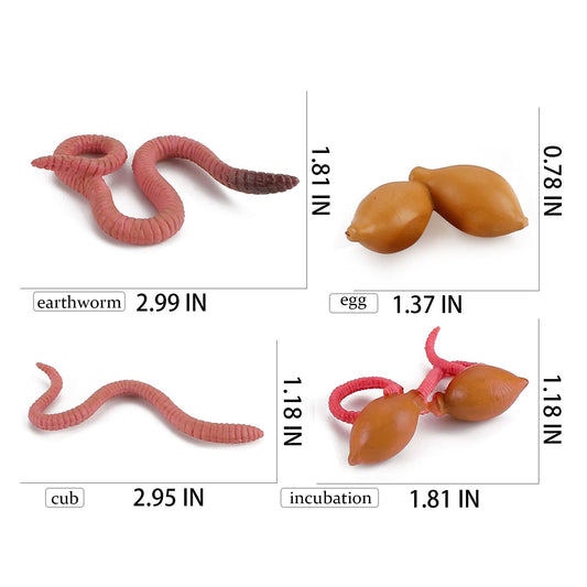 Life Cycle of a Worm - Set of Figurines