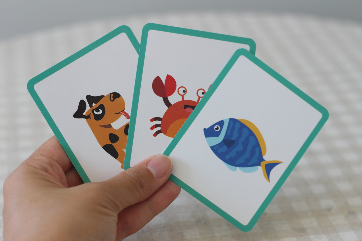 Spin-and-Read Word Builder Blocks with Flashcards