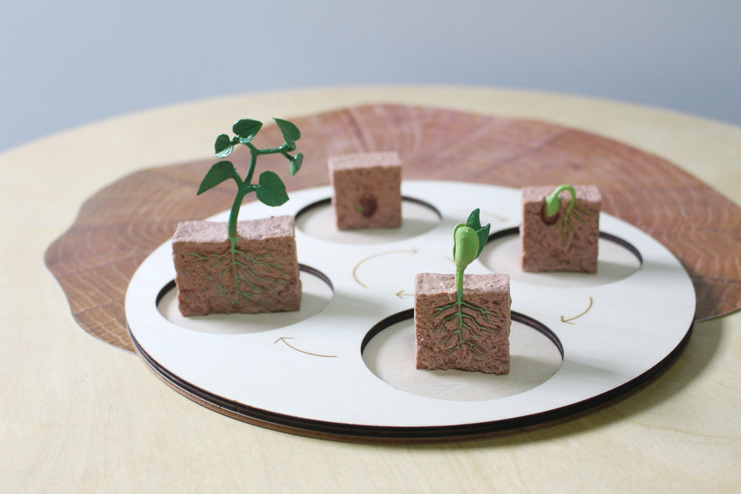 Life Cycle of a Tree - Set of Figurines