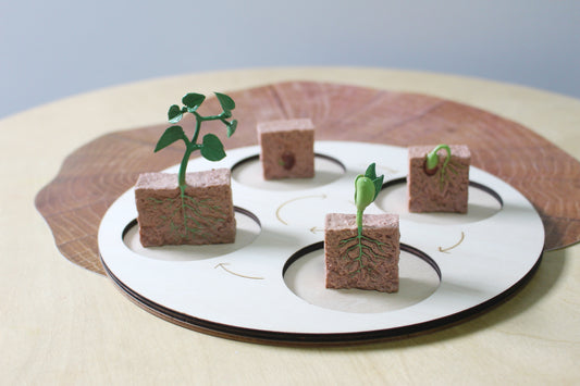Life Cycle of a Tree - Set of Figurines