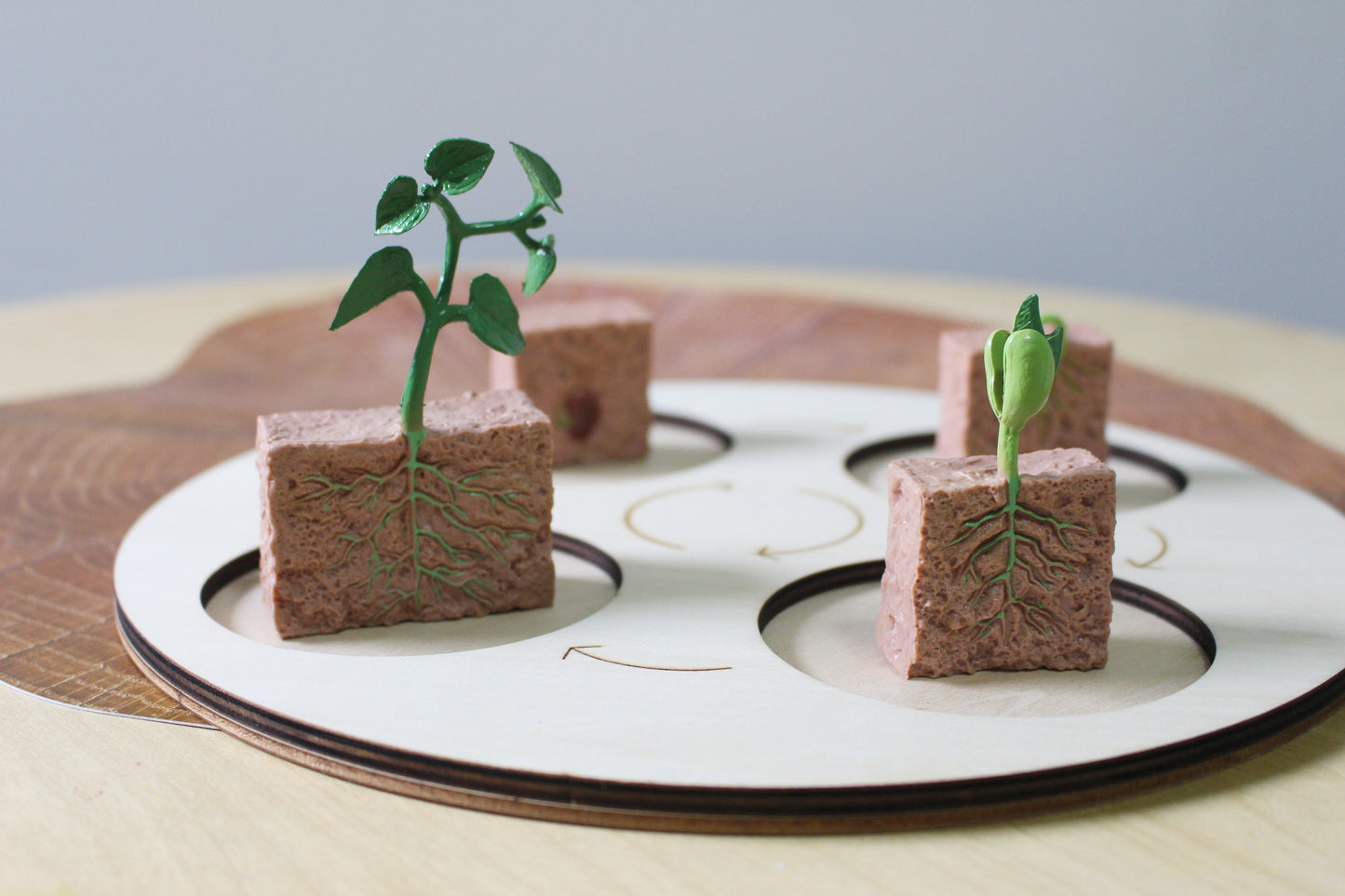 Life Cycle of a Tree - Set of Figurines