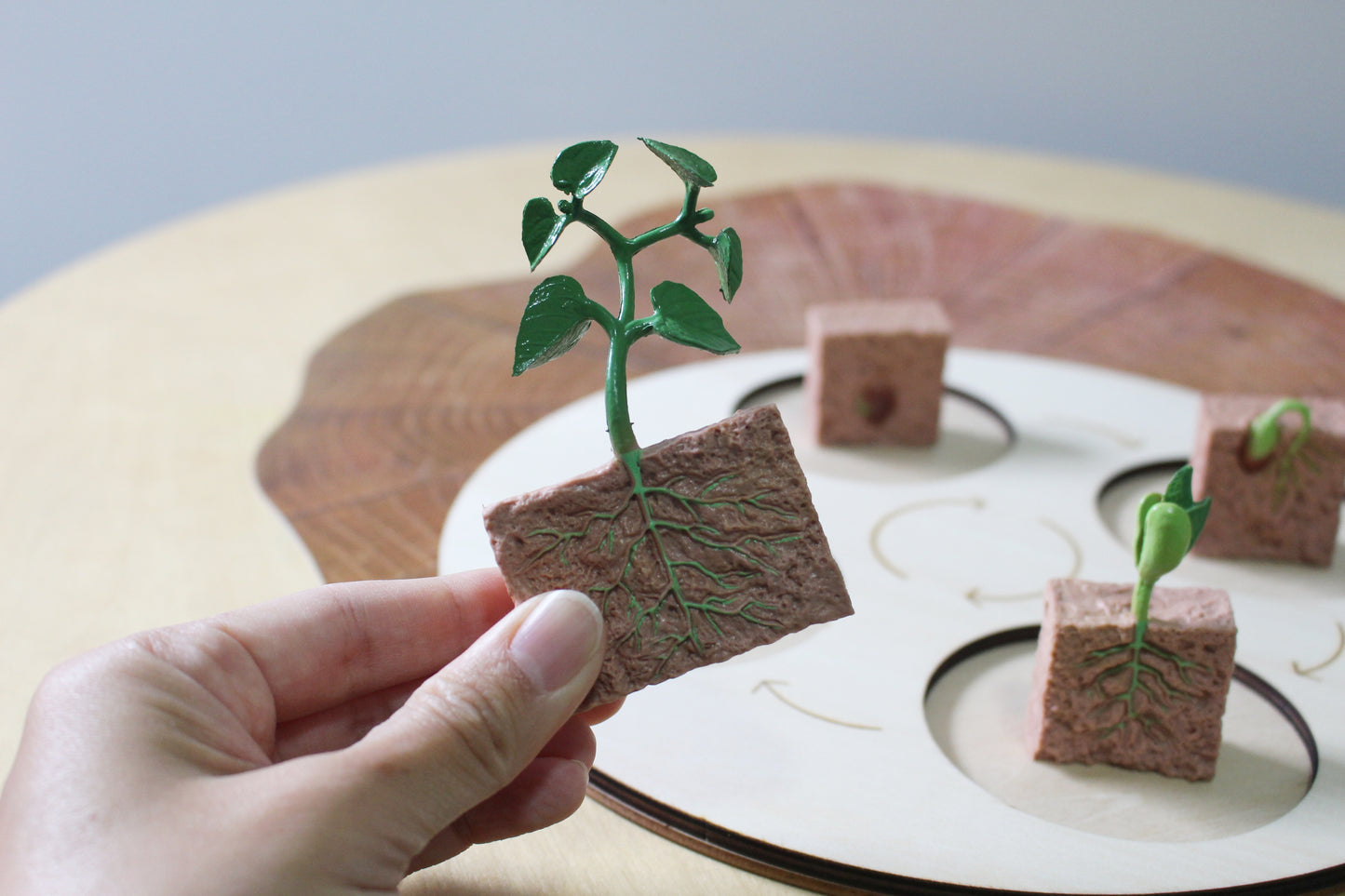 Life Cycle of a Tree - Set of Figurines