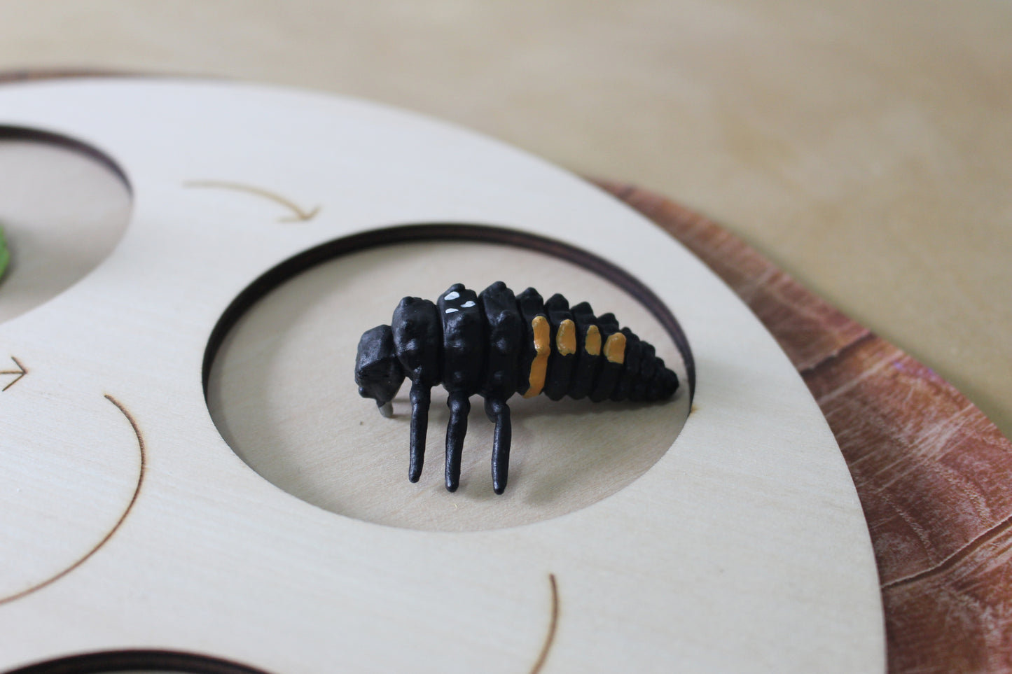 Life Cycle of a Ladybug - Set of Figurines
