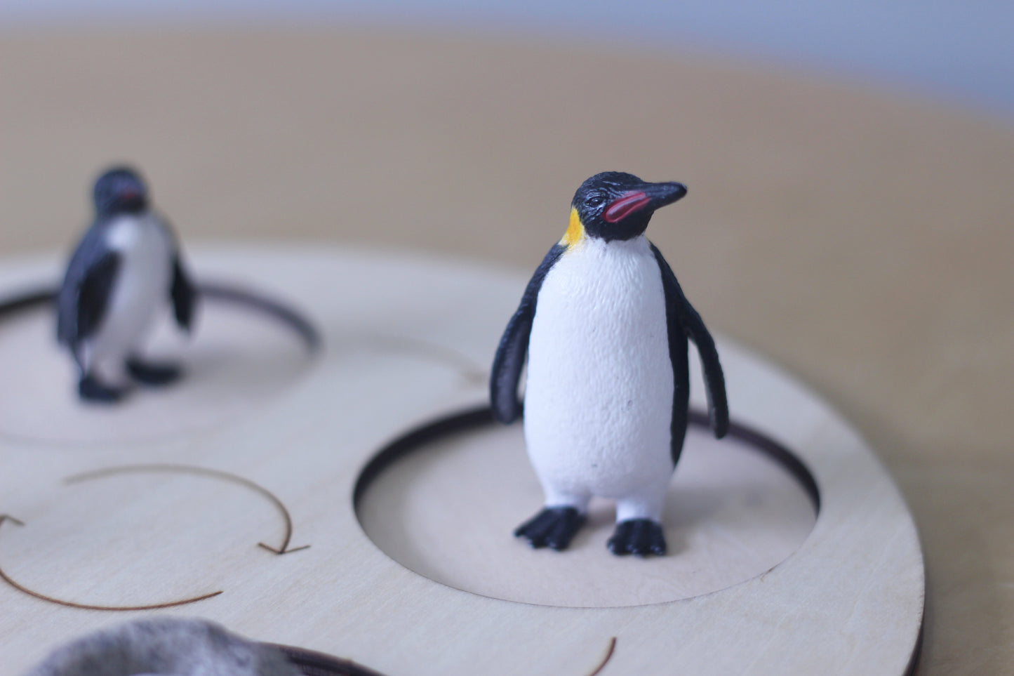 Life Cycle of a Penguin - Set of Figurines
