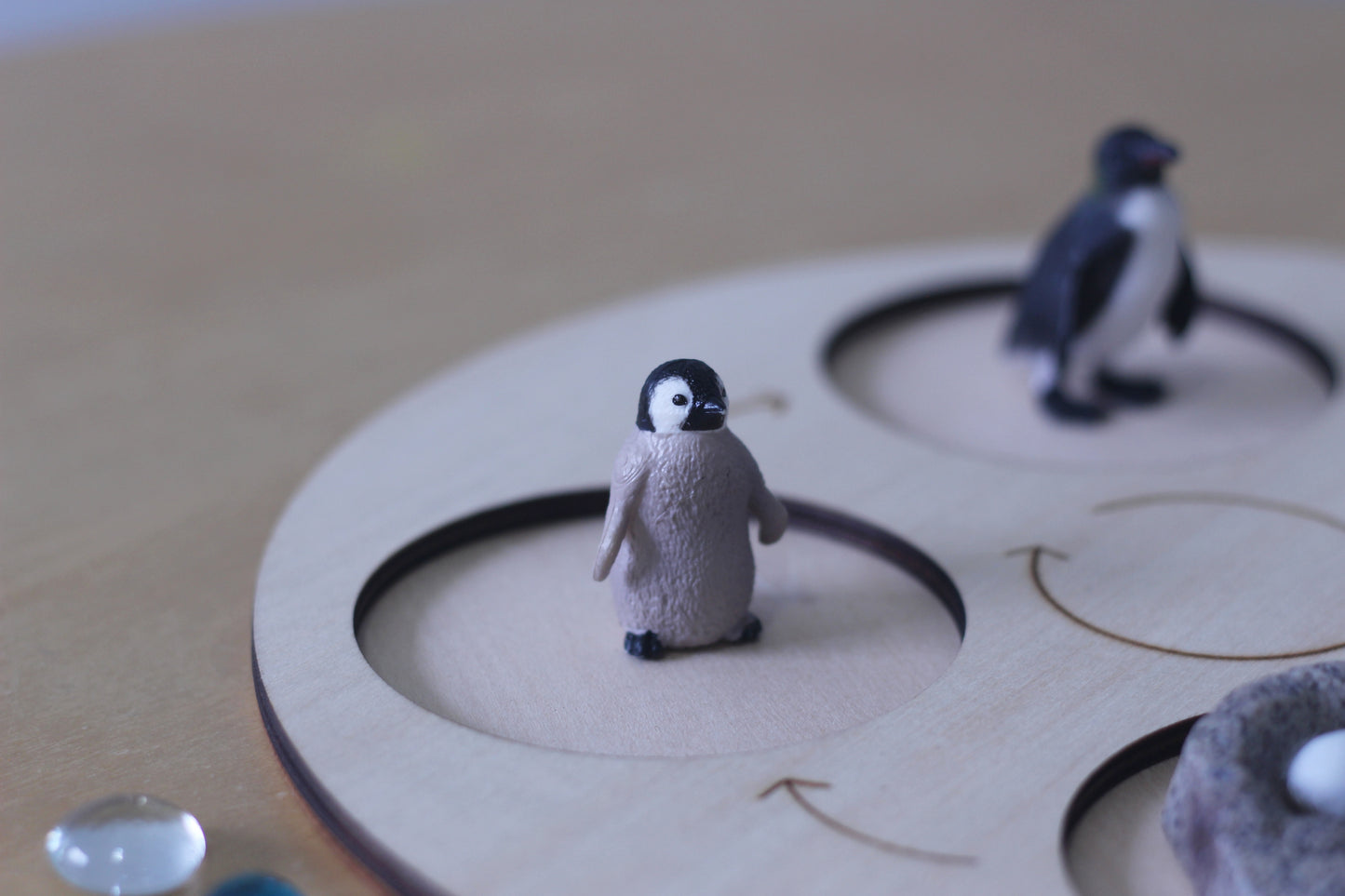 Life Cycle of a Penguin - Set of Figurines