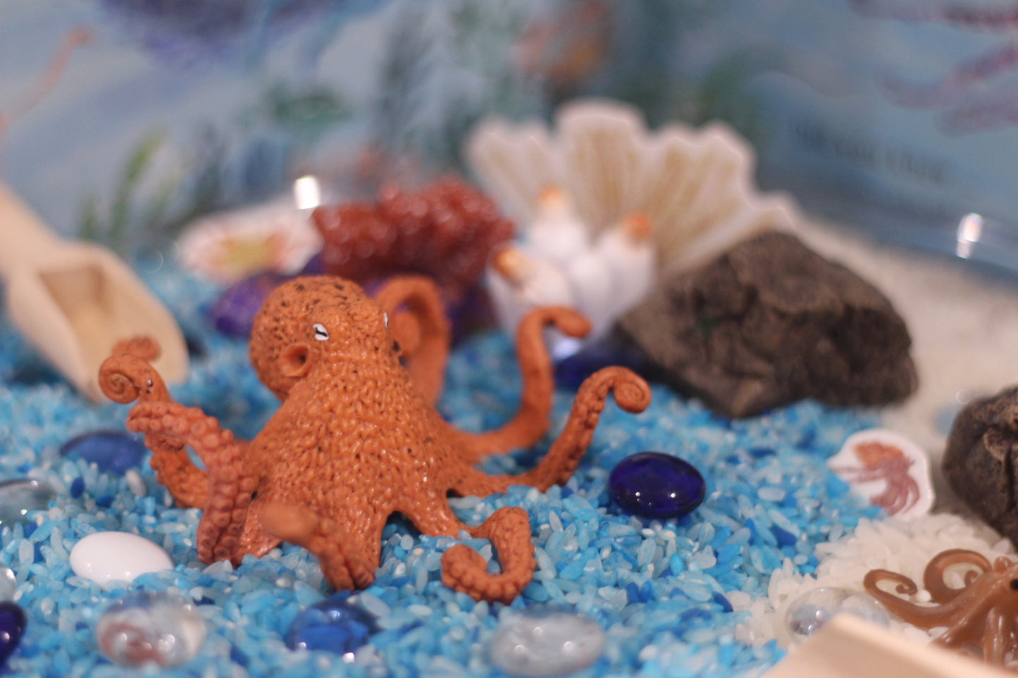 Life Cycle of an Octopus - Set of Figurines