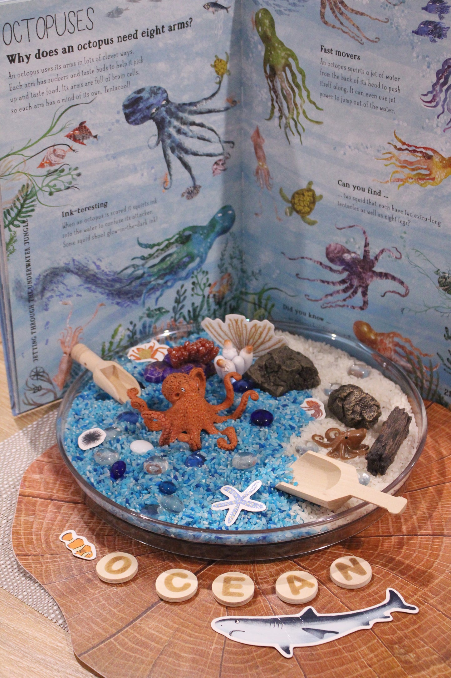 Life Cycle of an Octopus - Set of Figurines