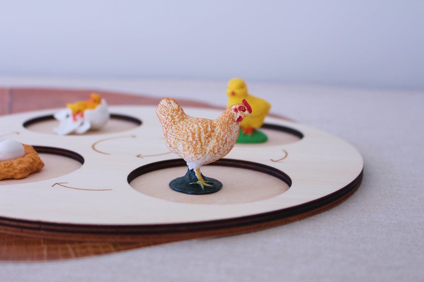 Life Cycle of a Hen - Set of Figurines