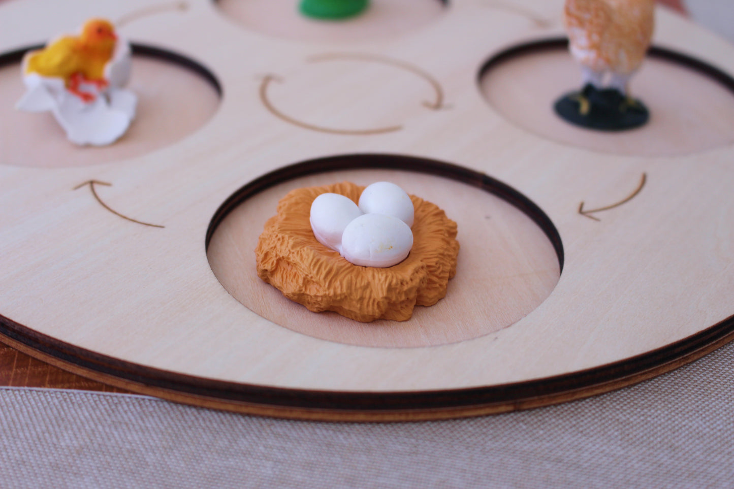 Life Cycle of a Hen - Set of Figurines